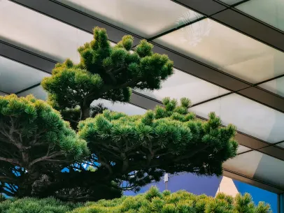 아케인벳 카지노 모바일 앱